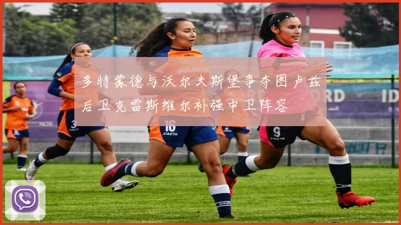 多特蒙德与沃尔夫斯堡争夺图卢兹后卫克雷斯维尔补强中卫阵容